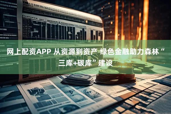 网上配资APP 从资源到资产 绿色金融助力森林“三库+碳库”建设