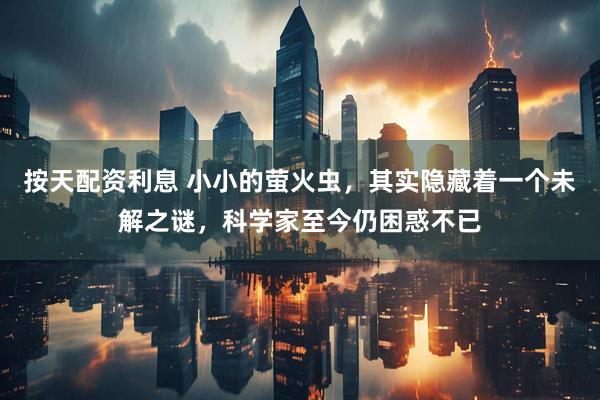 按天配资利息 小小的萤火虫，其实隐藏着一个未解之谜，科学家至今仍困惑不已